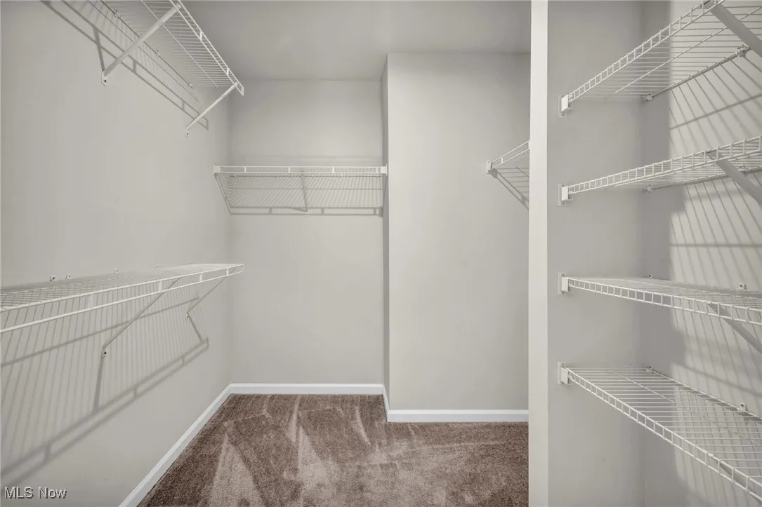 Walk in closet with dark carpet