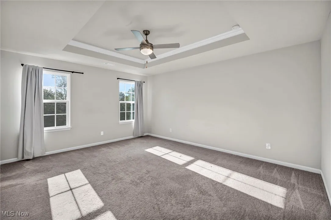 Unfurnished room featuring a raised ceiling, carpet, a ceiling fan, and ornamental molding