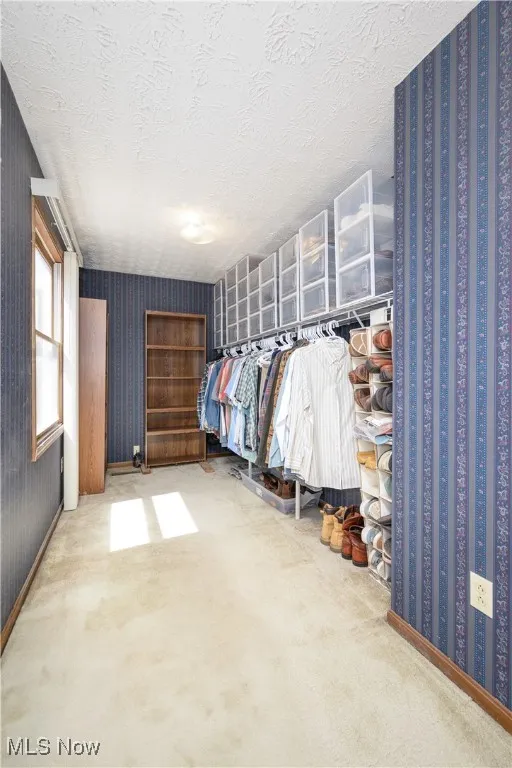 Primary bedroom has Spacious closet with carpet floors