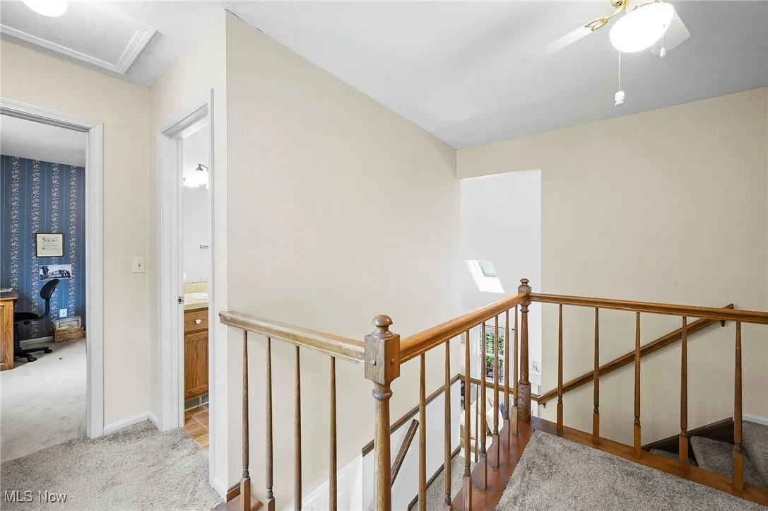 Stairs with carpet floors and wallpapered walls