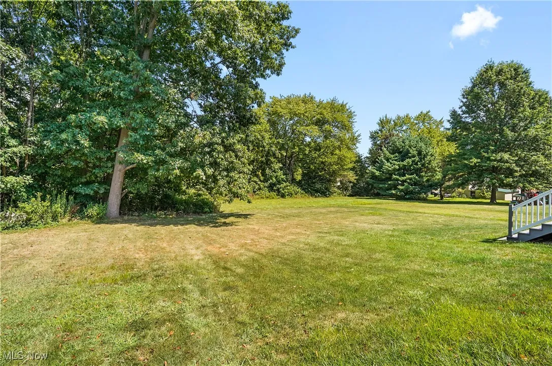 View of grassy yard