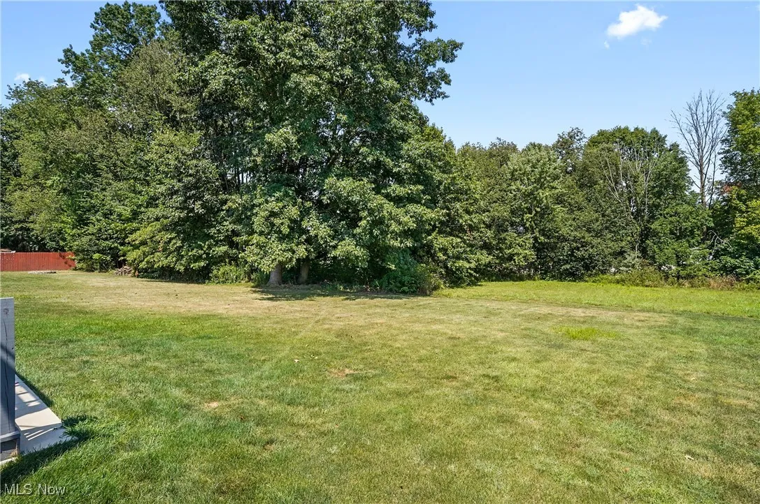View of green lawn