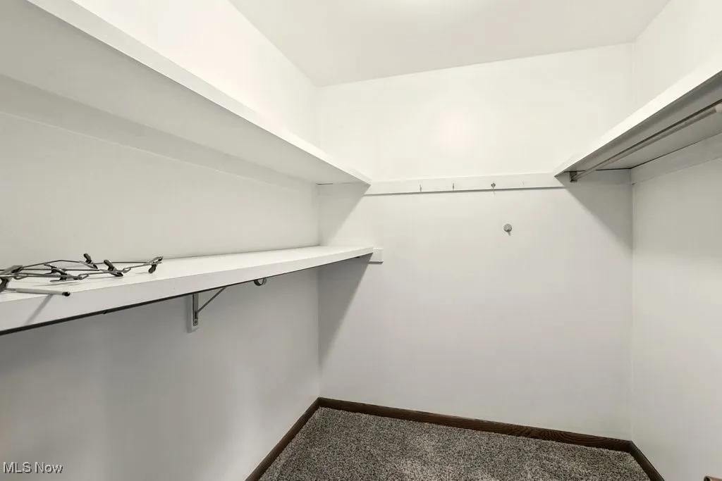 Spacious closet with dark carpet