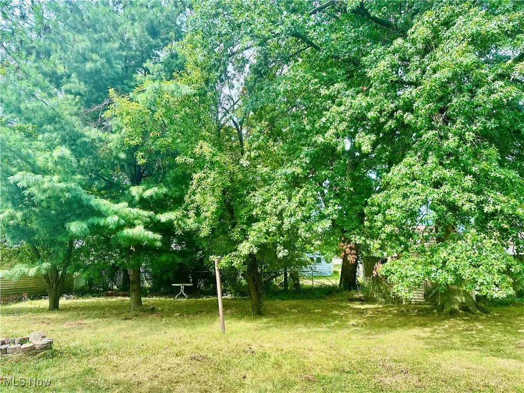 Back yard view of mature trees