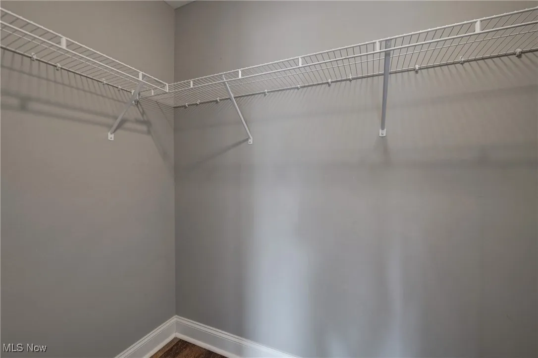 Spacious closet with dark wood finished floors
