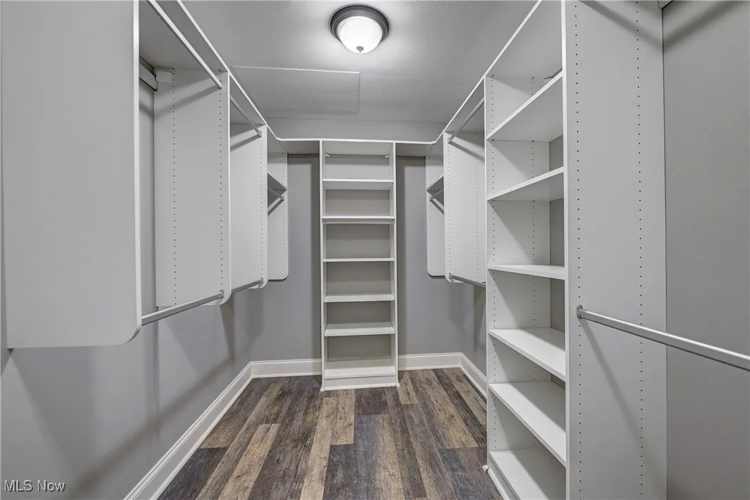 Spacious closet with dark wood finished floors