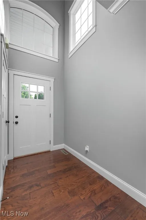 Foyer featuring dark wood-style floors and a high ceiling