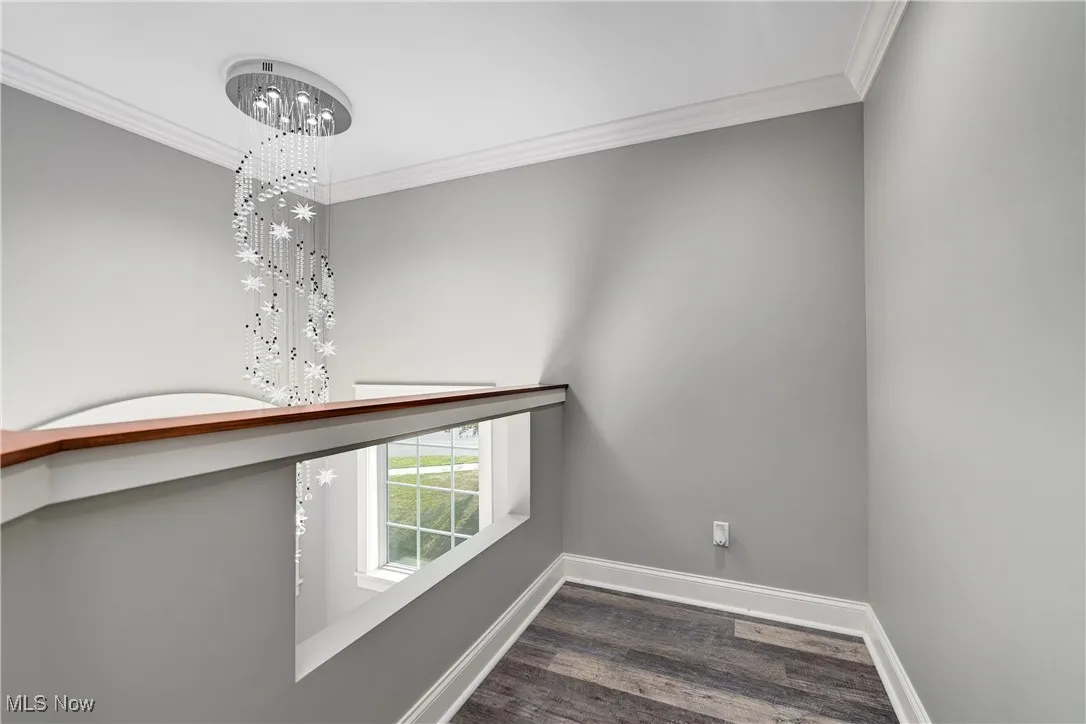 Unfurnished room with crown molding and dark wood-style flooring
