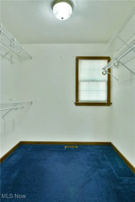 Spacious closet with carpet flooring