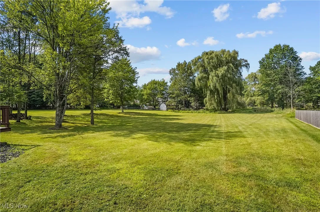 Serene backyard