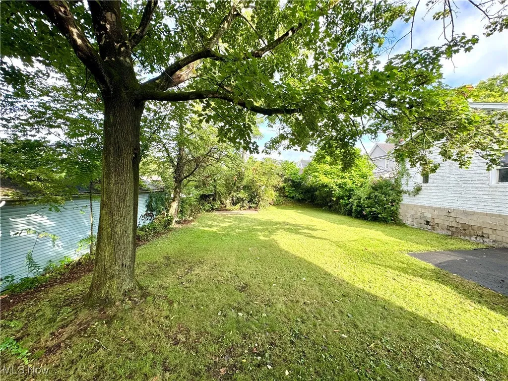 View of green lawn with a water view