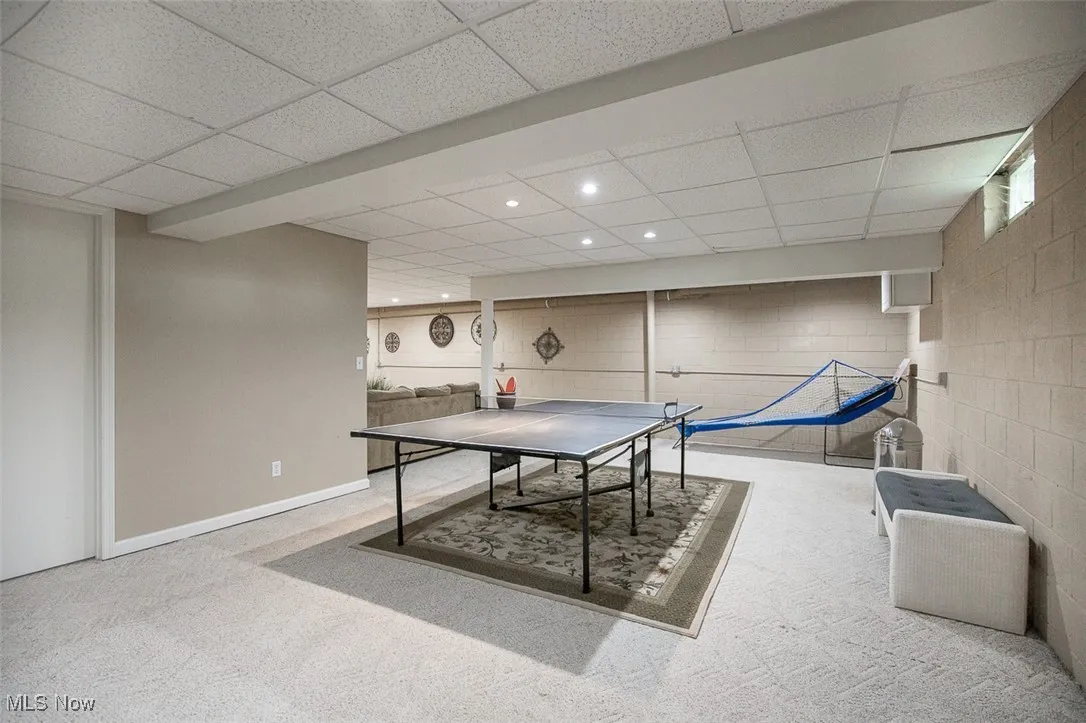 Lower level rec room