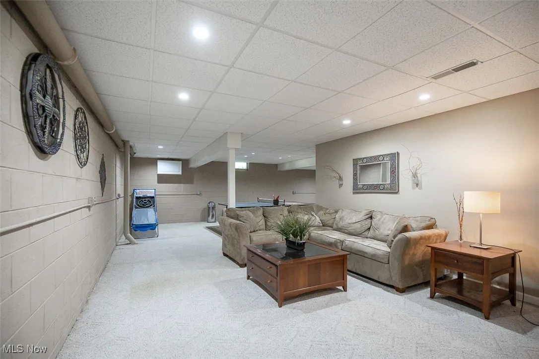 Lower level rec room