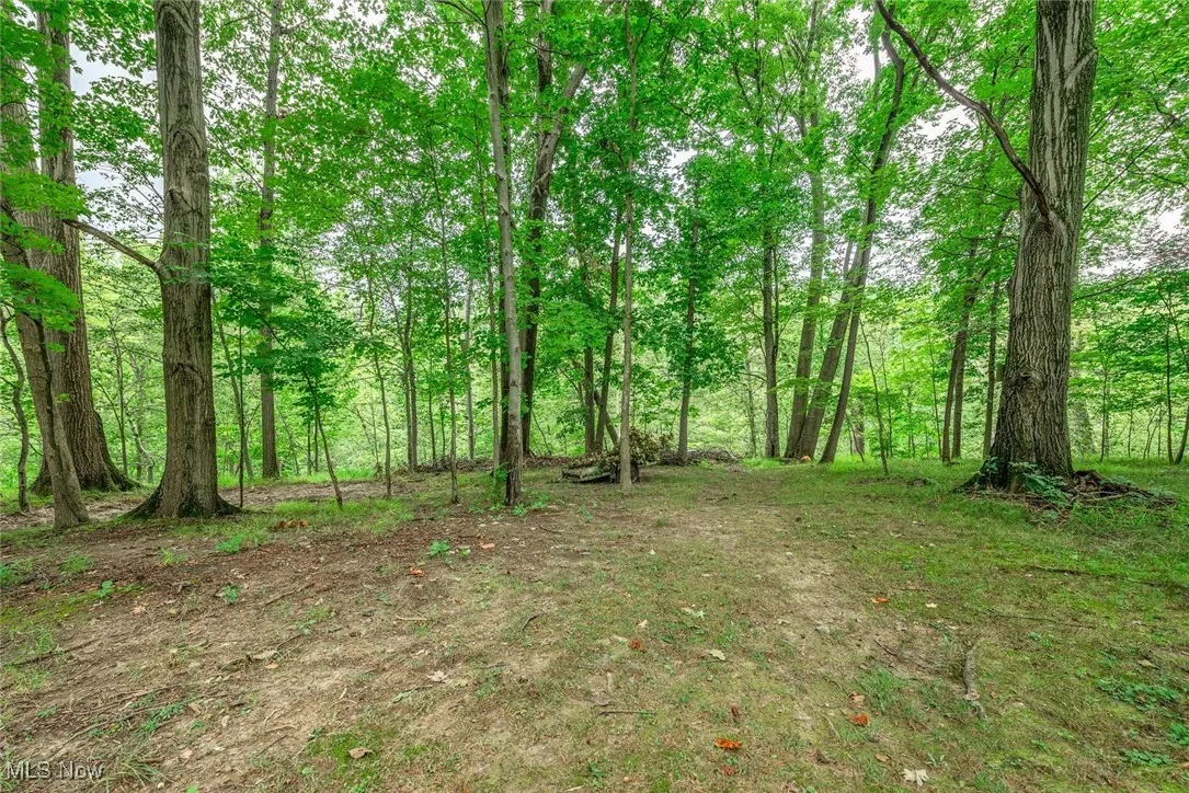 14579 Schreiber Road, Maple Heights, Ohio 44137,MLS Now Listing ID