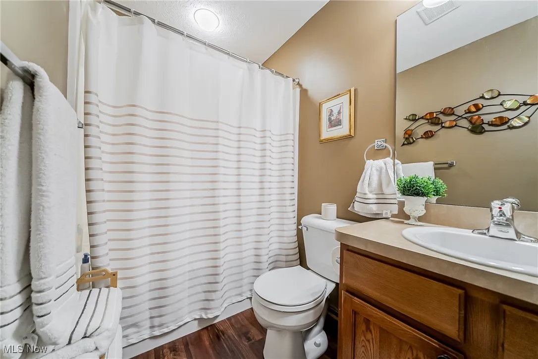 Full bathroom featuring vanity, dark wood-style flooring, and curtained shower