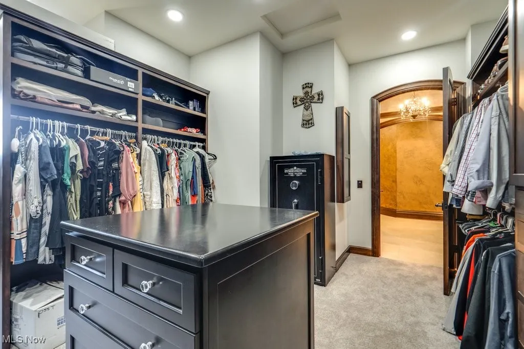 Spacious closet featuring light carpet and attic access
