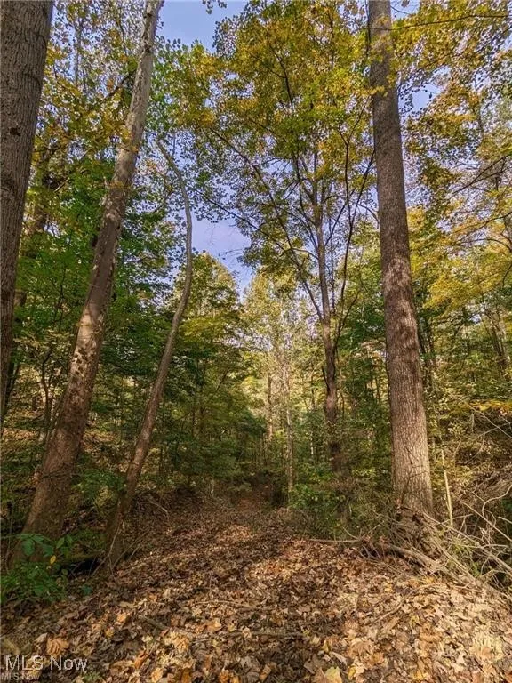6080 W Sharps Ridge Road, Mcconnelsville, Ohio 43756,MLS Now Listing ID
