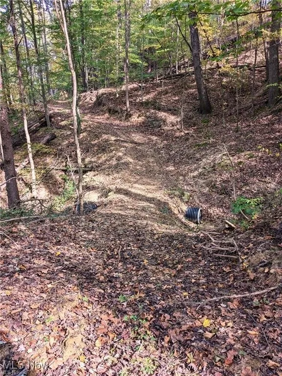 6080 W Sharps Ridge Road, Mcconnelsville, Ohio 43756,MLS Now Listing ID