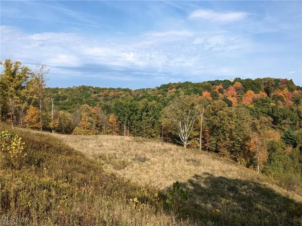 6080 W Sharps Ridge Road, Mcconnelsville, Ohio 43756,MLS Now Listing ID
