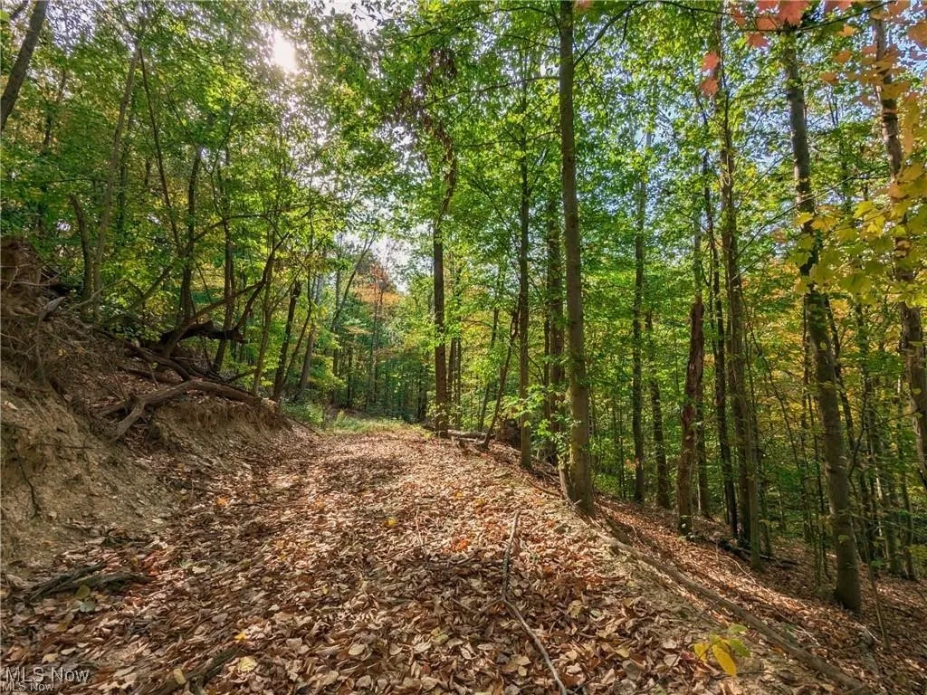 6080 W Sharps Ridge Road, Mcconnelsville, Ohio 43756,MLS Now Listing ID