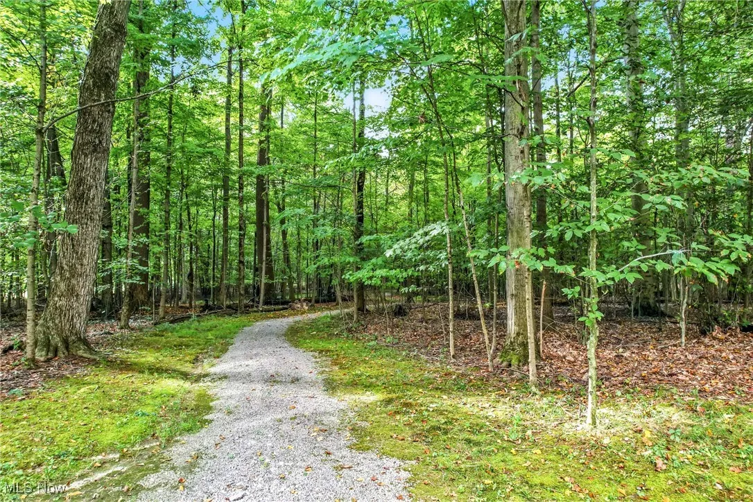 Over 1/4 mile of Stone trails in the woods
