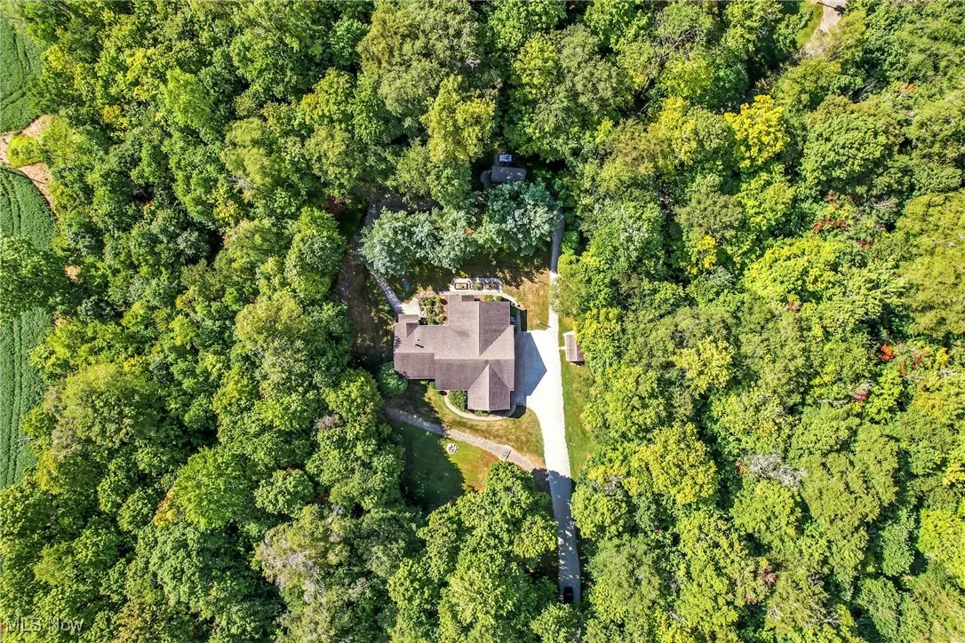 Surrounded by trees for privacy