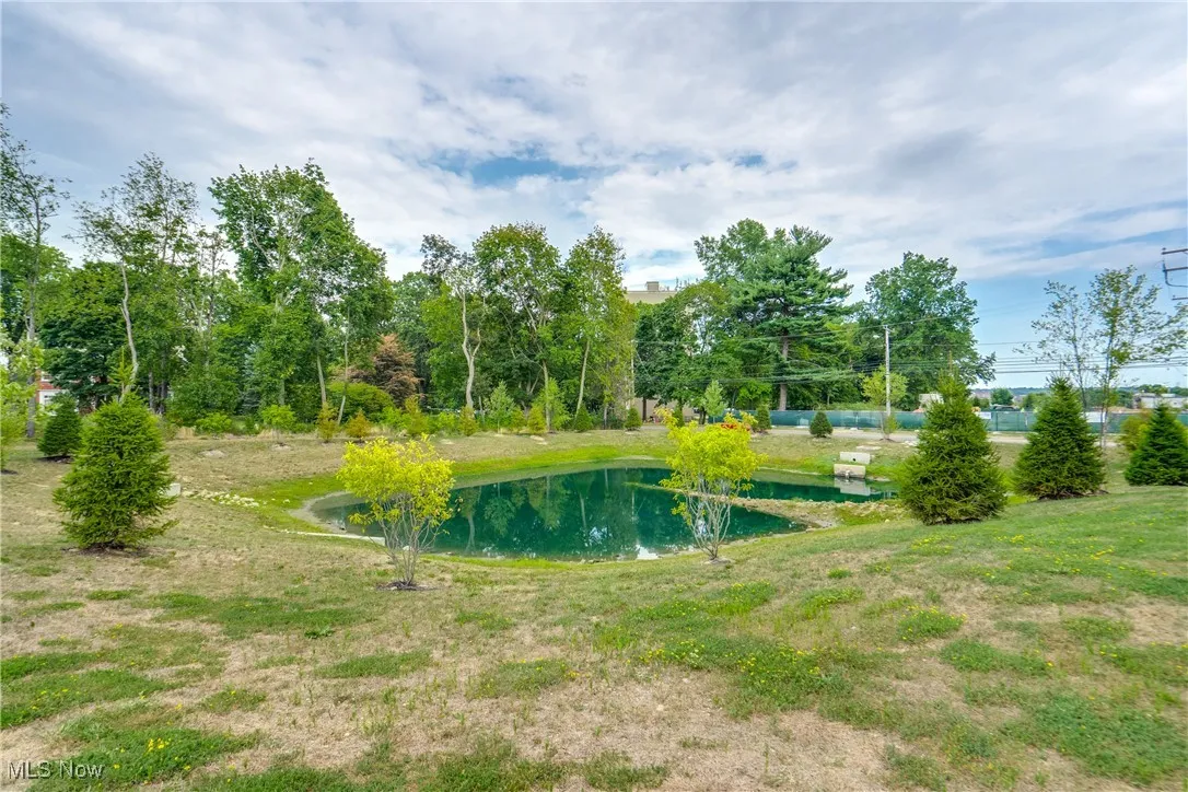 677 Crossings Lane, Akron, Ohio 44320,MLS Now Listing ID