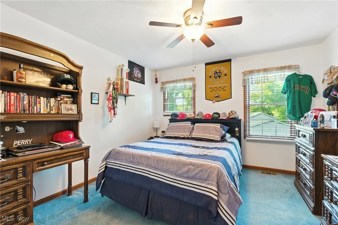 Carpeted bedroom with multiple windows and ceiling fan