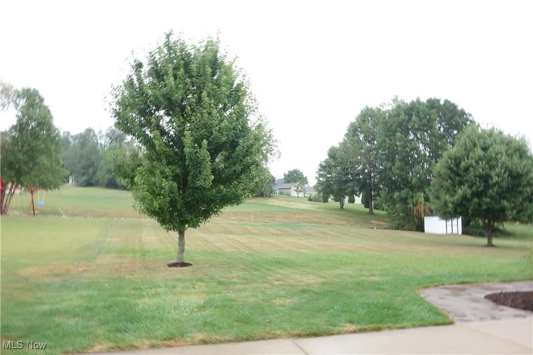 Superb Back Yard