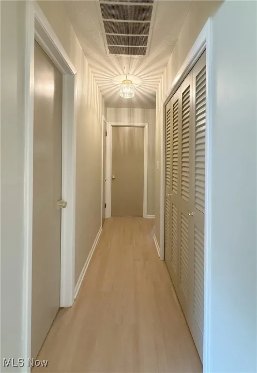 Hall with light wood finished floors and baseboards