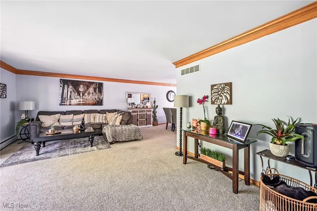Living area featuring ornamental molding and carpet