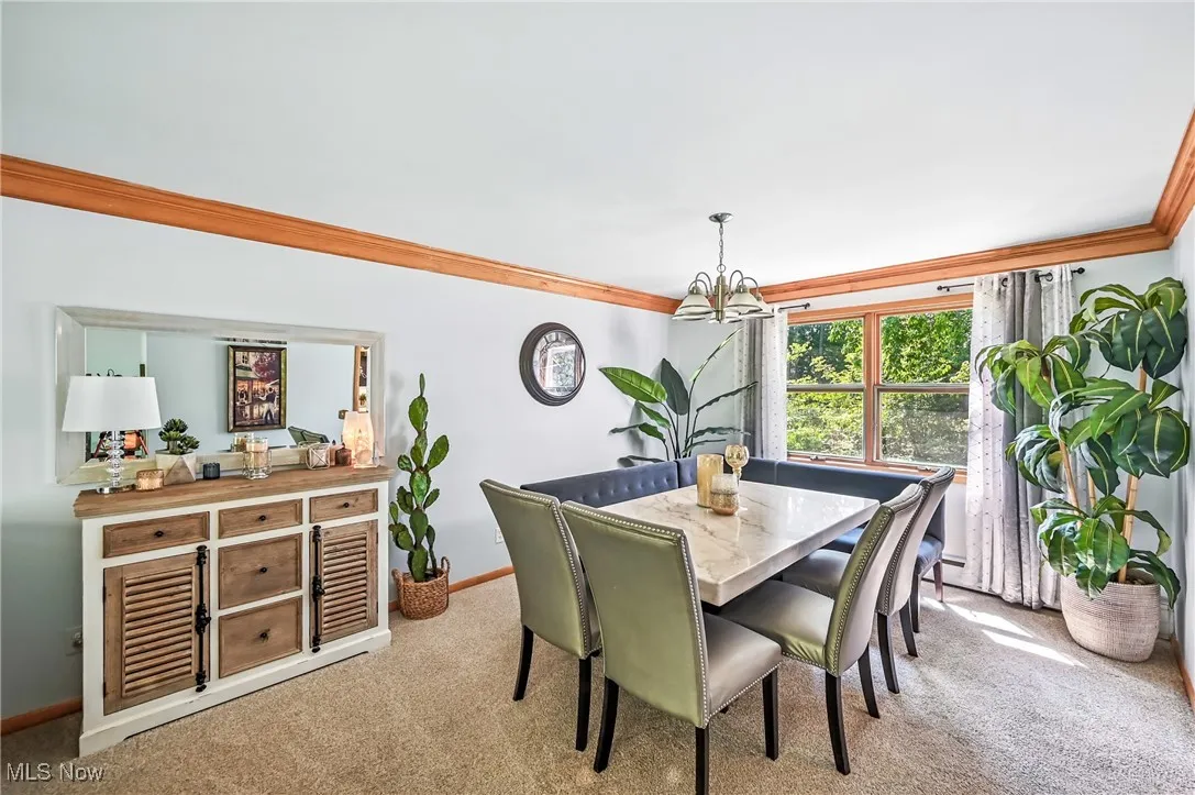 Carpeted dining space with ornamental molding and a chandelier