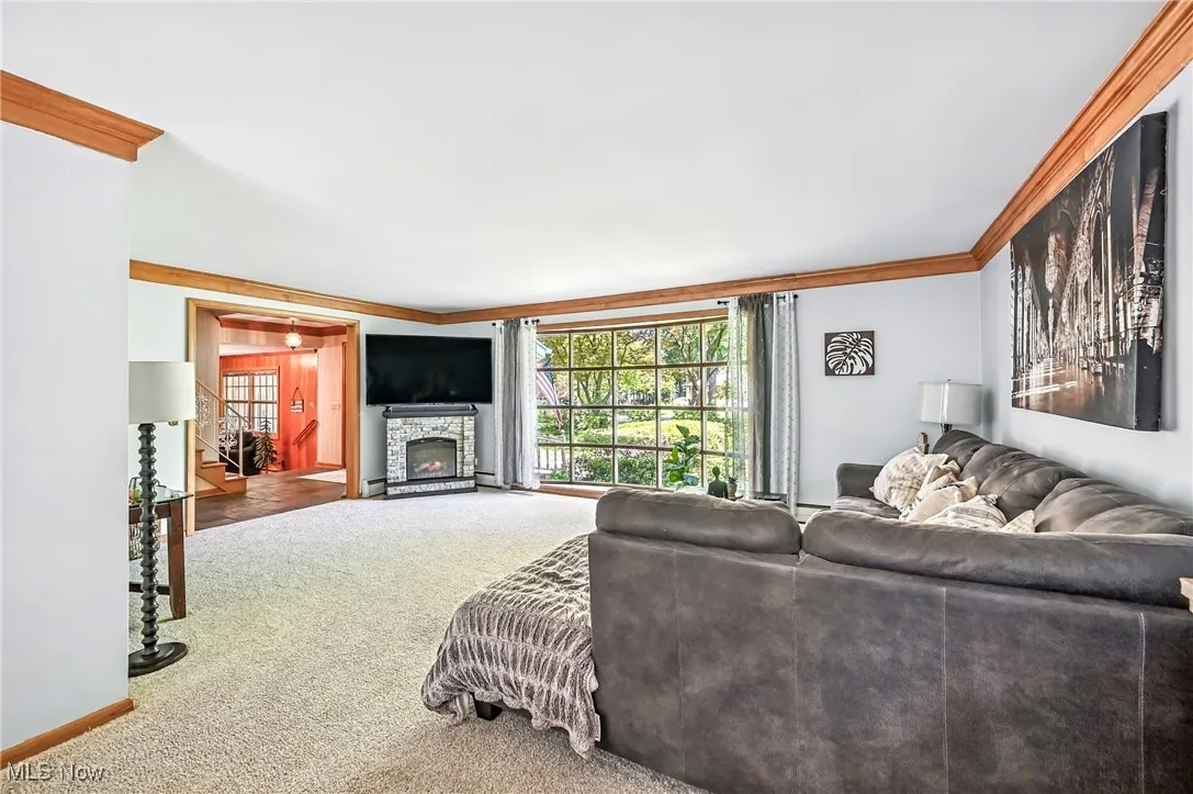 Living room featuring crown molding, carpet floors.