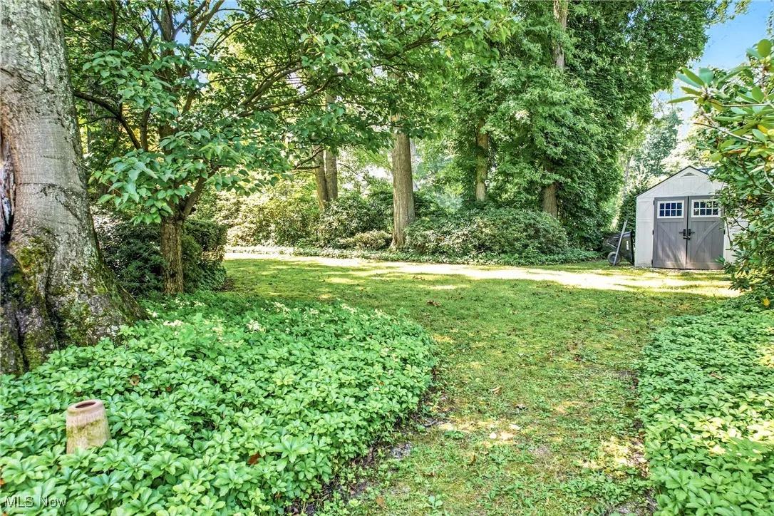 View of green lawn featuring a storage shed