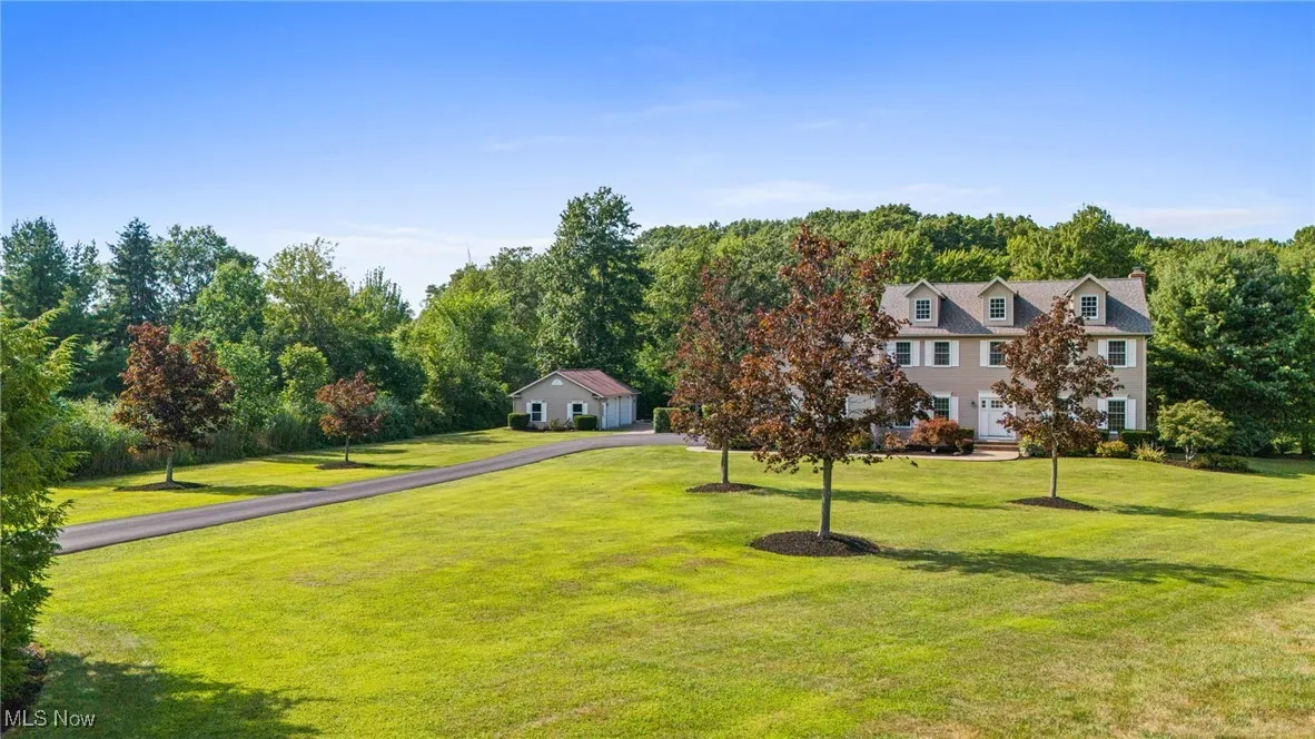 Front yard