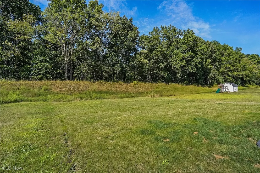View of green lawn with a storage unit
