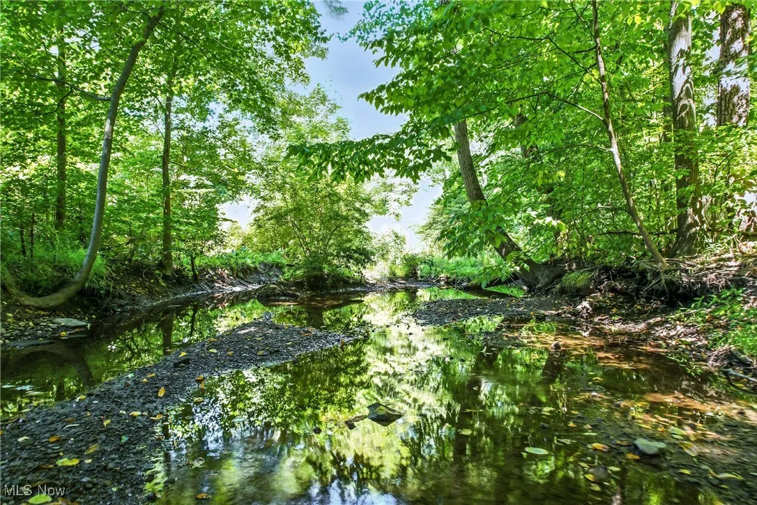 The creek bed