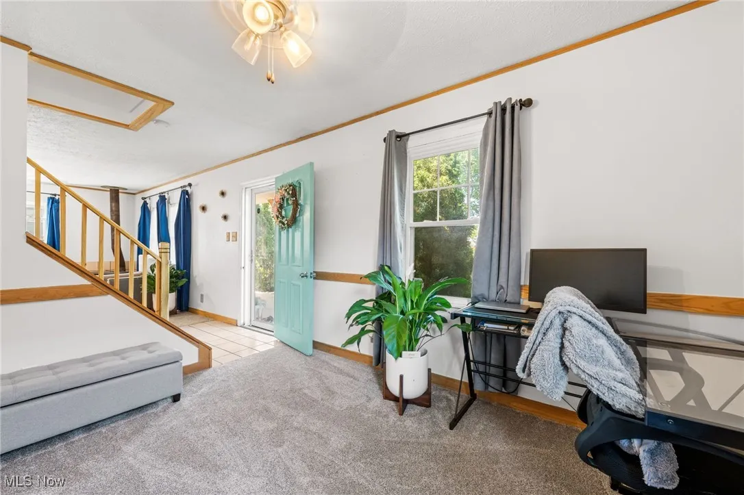 Home office with crown molding and carpet