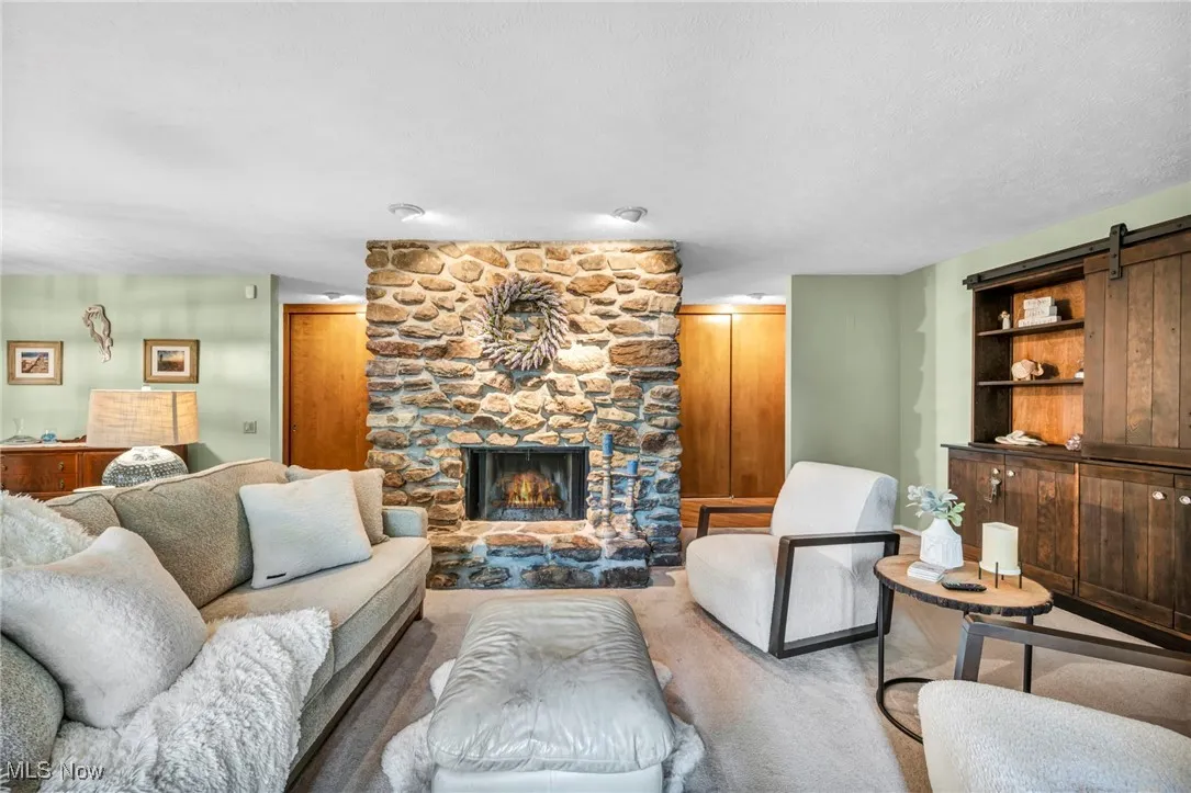 Living room featuring a barn door and a fireplace