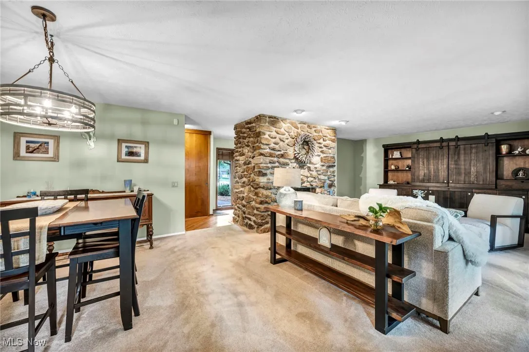 Living room featuring carpet floors and a barn door