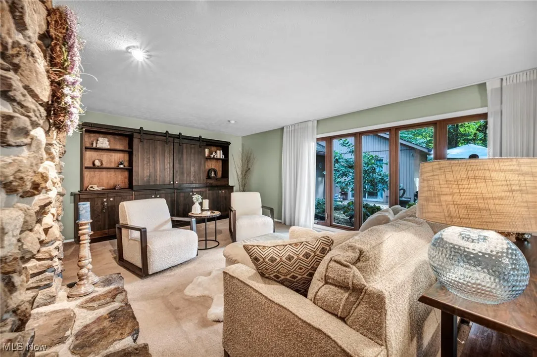 Living room with a barn door and carpet floors