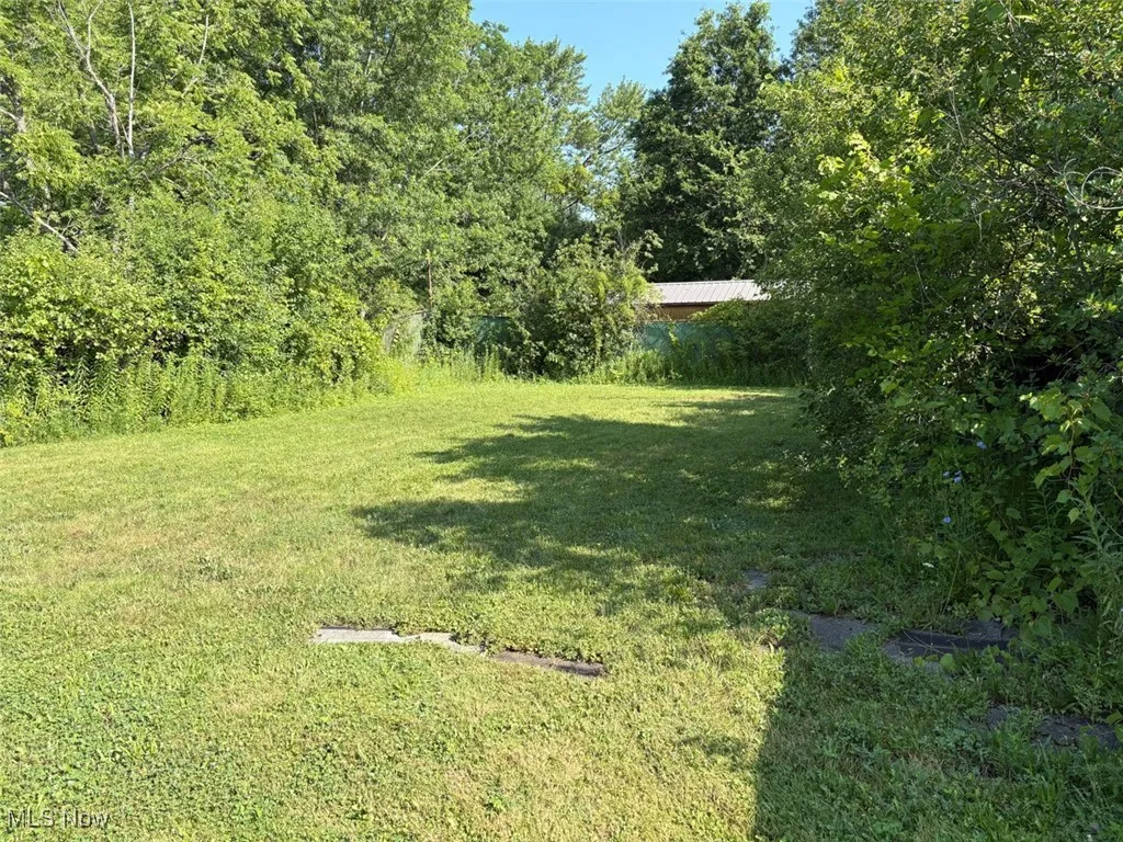View of green lawn