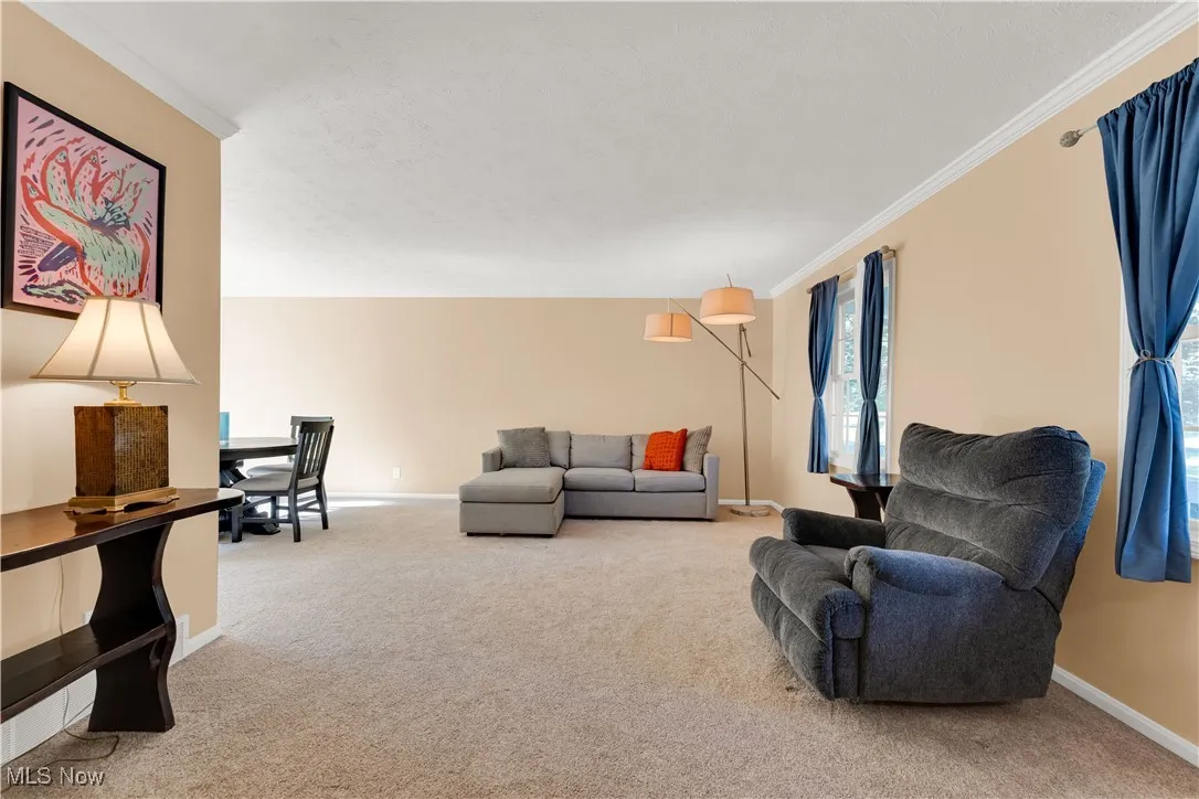 17651 Plum Creek Trail, Chagrin Falls, Ohio 44023,MLS Now Listing ID