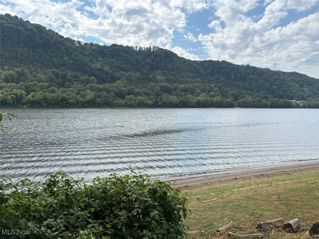 Water view with a forest