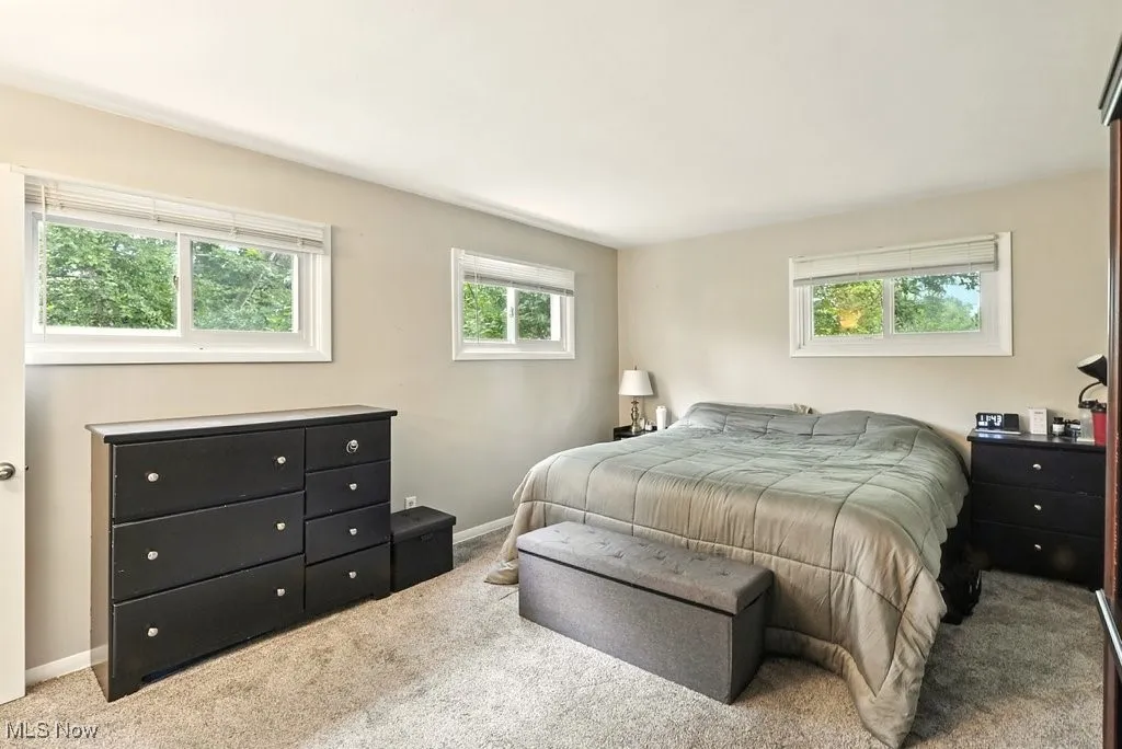 Carpeted bedroom with multiple windows