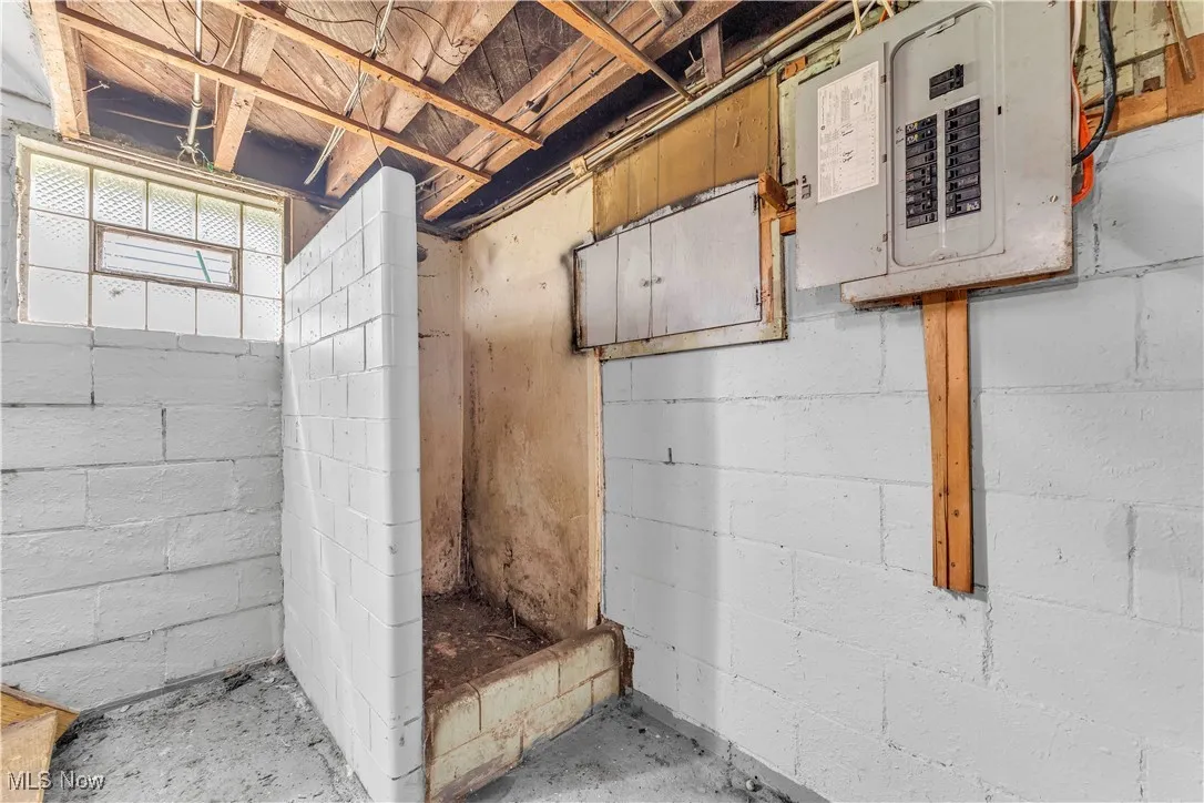 Basement with electric panel
