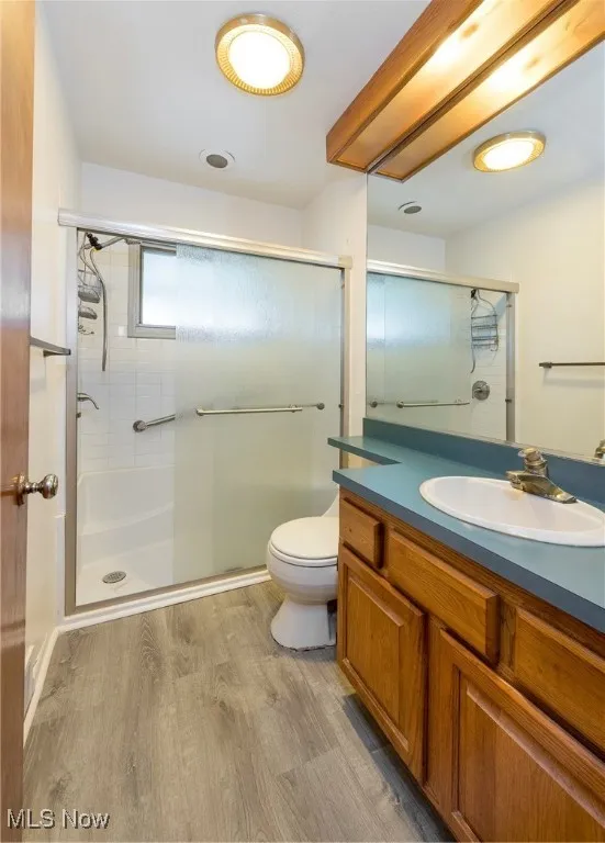 Bathroom with vanity, a shower stall, and LVP flooring