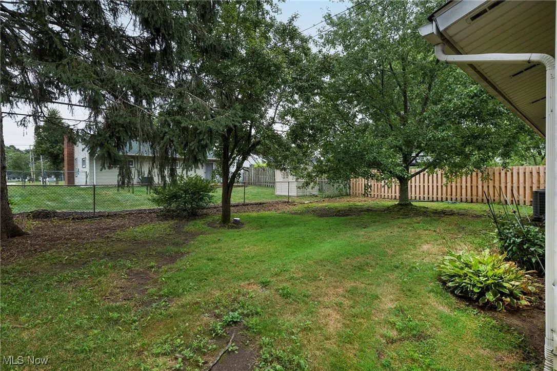 View of backyard