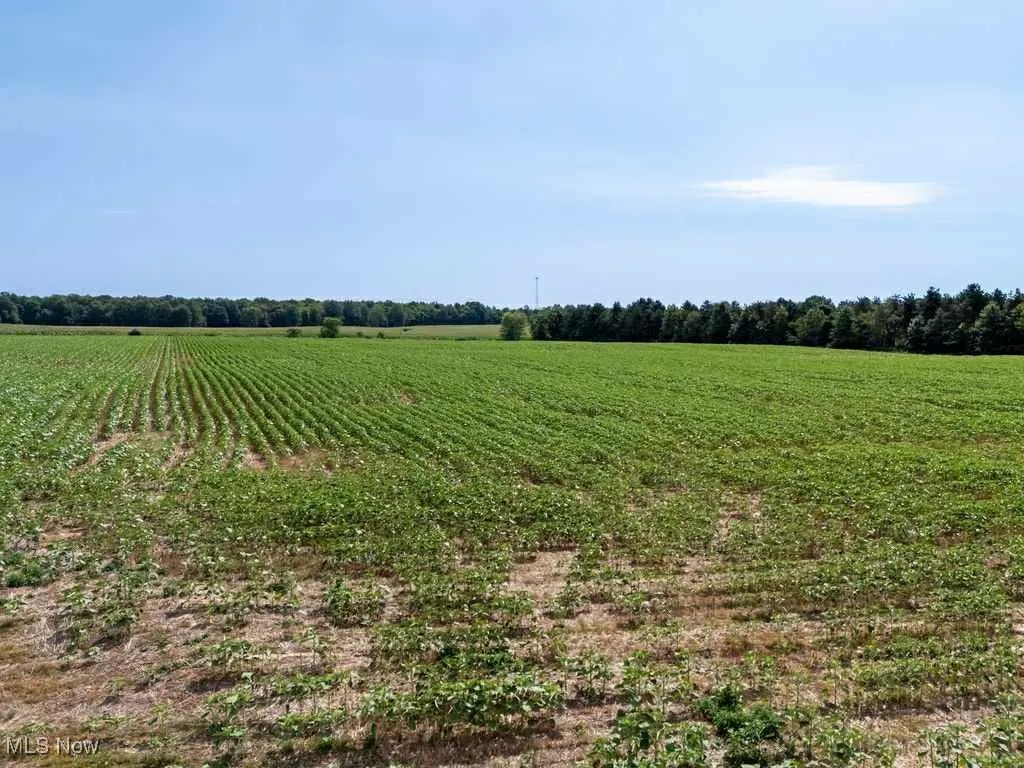 Congress Rd., West Salem, Ohio 44287,MLS Now Listing ID
