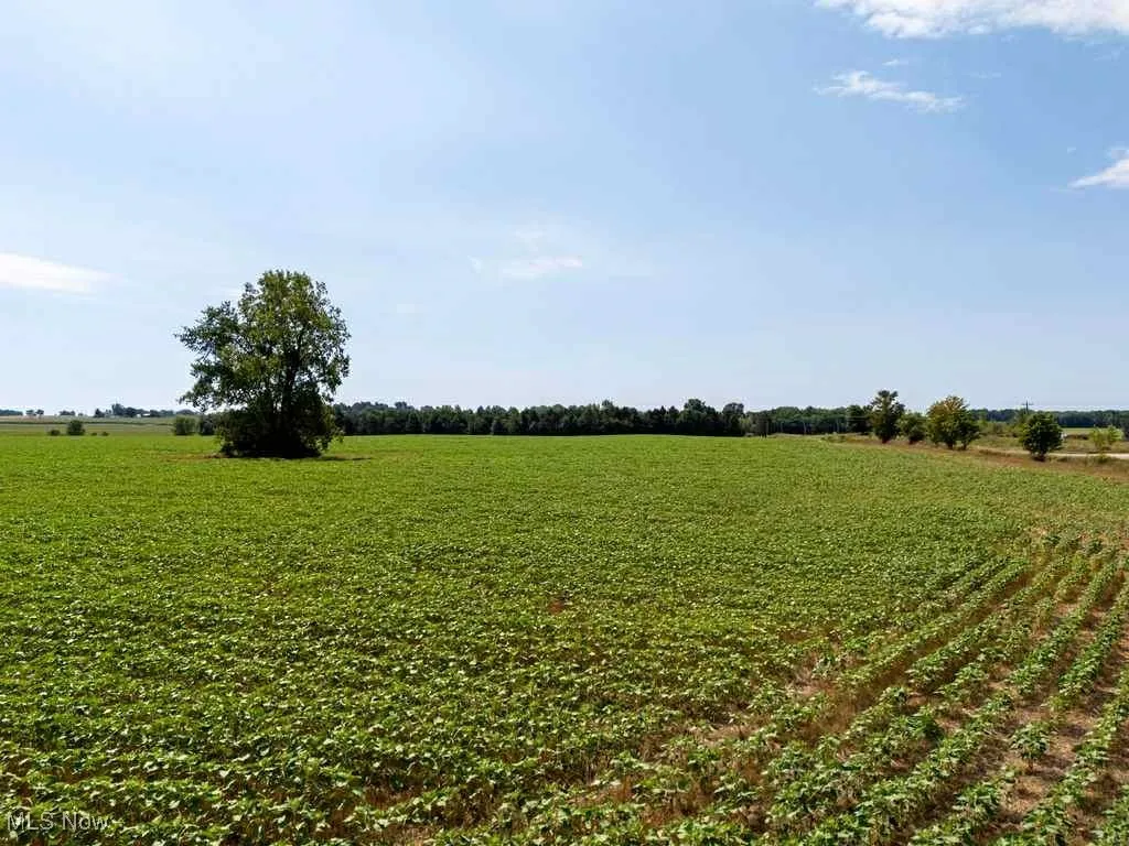 Congress Rd., West Salem, Ohio 44287,MLS Now Listing ID